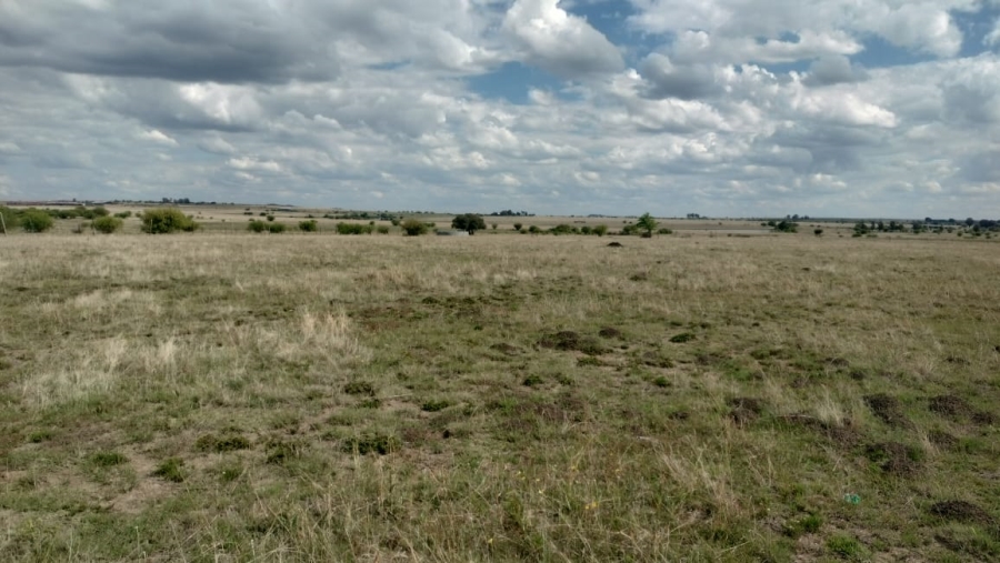 Commercial Property for Sale in Fairview Free State